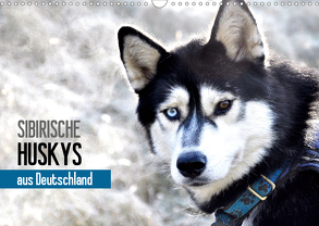 Sibirische Huskys aus Deutschland (Wandkalender 2020 DIN A3 quer) von Hentschel,  Andrea
