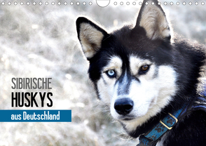 Sibirische Huskys aus Deutschland (Wandkalender 2021 DIN A4 quer) von Hentschel,  Andrea