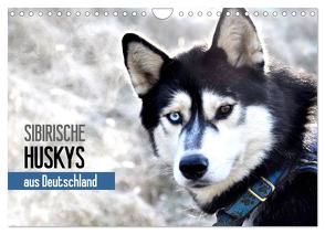 Sibirische Huskys aus Deutschland (Wandkalender 2024 DIN A4 quer), CALVENDO Monatskalender von Hentschel,  Andrea