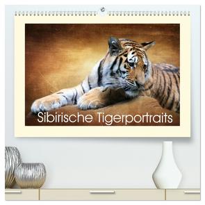 Sibirische Tigerportraits (hochwertiger Premium Wandkalender 2024 DIN A2 quer), Kunstdruck in Hochglanz von Hultsch,  Heike