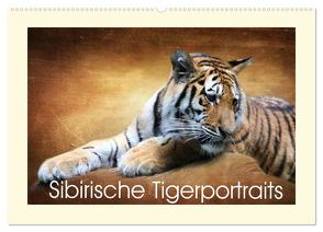 Sibirische Tigerportraits (Wandkalender 2024 DIN A2 quer), CALVENDO Monatskalender von Hultsch,  Heike