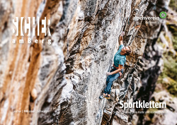 Sicher am Berg: Sportklettern von Larcher,  Michael, Mössmer,  Gerhard, Österr. Alpenverein, Schwaiger,  Markus