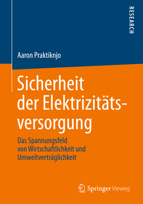 Sicherheit der Elektrizitätsversorgung von Praktiknjo,  Aaron