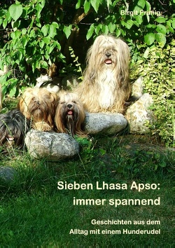 Sieben Lhasa Apso: immer spannend von Primig,  Birgit