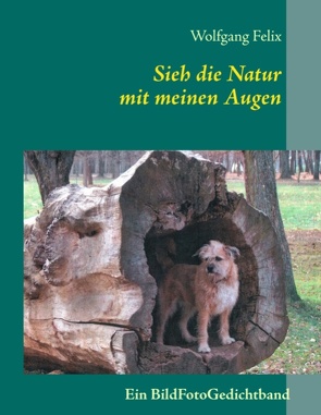 Sieh die Natur mit meinen Augen von Felix,  Wolfgang