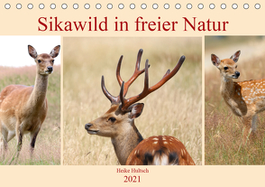 Sikawild in freier Natur (Tischkalender 2021 DIN A5 quer) von Hultsch,  Heike