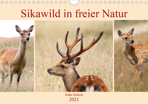 Sikawild in freier Natur (Wandkalender 2021 DIN A4 quer) von Hultsch,  Heike