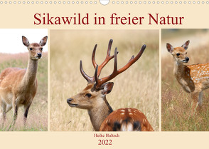 Sikawild in freier Natur (Wandkalender 2022 DIN A3 quer) von Hultsch,  Heike