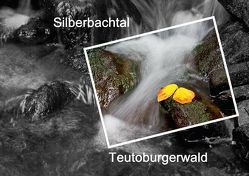 Silberbachtal Teutoburgerwald (Posterbuch DIN A3 quer) von Hobscheidt,  Ernst