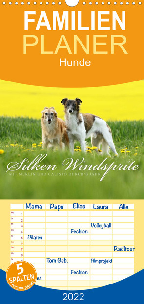 Familienplaner Silken Windsprite – Mit Merlin und Calisto durch´s Jahr 2022 (Wandkalender 2022 , 21 cm x 45 cm, hoch) von Mueller GoldenMerlo.de,  Maike