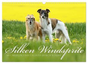 Silken Windsprite – Mit Merlin und Calisto durch´s Jahr 2024 (Wandkalender 2024 DIN A3 quer), CALVENDO Monatskalender von Mueller GoldenMerlo.de,  Maike