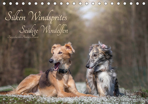 Silken Windsprites – Seidige Windelfen (Tischkalender 2020 DIN A5 quer) von Meurer,  Andrea