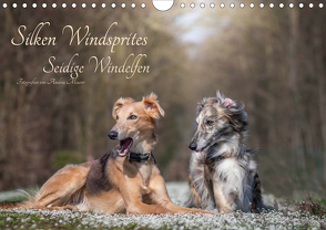 Silken Windsprites – Seidige Windelfen (Wandkalender 2020 DIN A4 quer) von Meurer,  Andrea