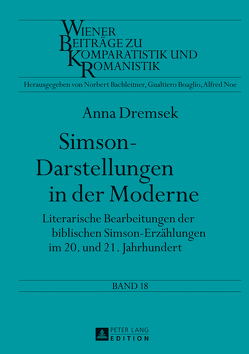 Simson-Darstellungen in der Moderne von Dremsek,  Anna