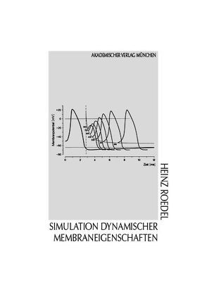 Simulation dynamischer Membraneigenschaften von Roedel,  Heinz