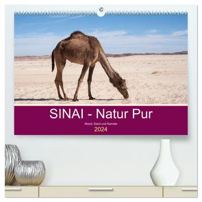 Sinai – Natur Pur (hochwertiger Premium Wandkalender 2024 DIN A2 quer), Kunstdruck in Hochglanz von Wiens,  Claudia