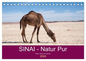 Sinai – Natur Pur (Tischkalender 2024 DIN A5 quer), CALVENDO Monatskalender von Wiens,  Claudia