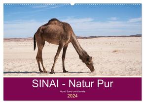 Sinai – Natur Pur (Wandkalender 2024 DIN A2 quer), CALVENDO Monatskalender von Wiens,  Claudia