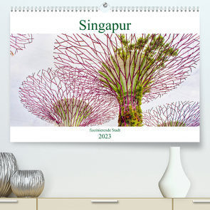 Singapur – faszinierende Stadt (Premium, hochwertiger DIN A2 Wandkalender 2023, Kunstdruck in Hochglanz) von Schwarze,  Nina