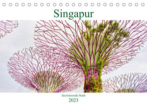 Singapur – faszinierende Stadt (Tischkalender 2023 DIN A5 quer) von Schwarze,  Nina