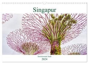 Singapur – faszinierende Stadt (Wandkalender 2024 DIN A3 quer), CALVENDO Monatskalender von Schwarze,  Nina