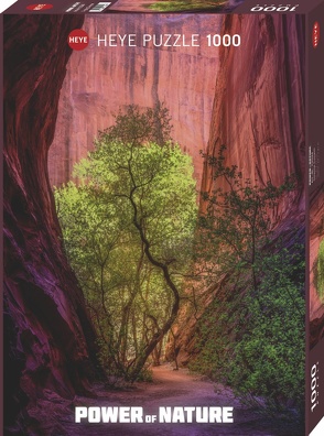 Singing Canyon Puzzle von Gibb,  Charlotte