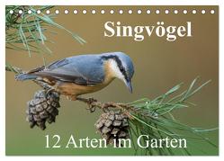 Singvögel – 12 Arten im Garten (Tischkalender 2024 DIN A5 quer), CALVENDO Monatskalender von birdimagency,  BIA