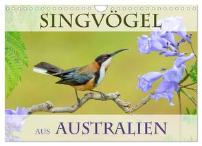 Singvögel aus Australien (Wandkalender 2024 DIN A4 quer), CALVENDO Monatskalender von birdimagency,  BIA