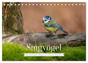 SINGVÖGEL – Die prächtigen Sänger in schönem Ambiente. (Tischkalender 2024 DIN A5 quer), CALVENDO Monatskalender von Wünsche,  Arne