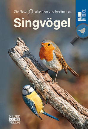 Singvögel