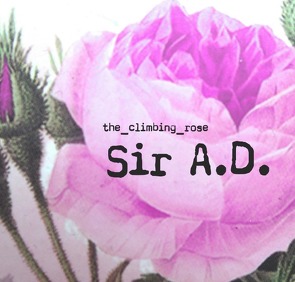 Sir A.D. von (Autorin),  the_climbing_rose