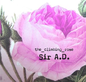 Sir A.D. von (Autorin),  the_climbing_rose