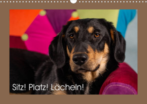 Sitz! Platz! Lächeln! (Wandkalender 2022 DIN A3 quer) von Schiewe,  Regina