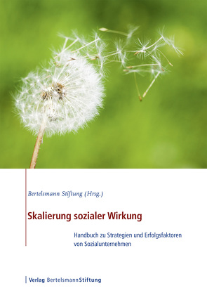 Skalierung sozialer Wirkung