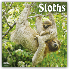 Sloths – Faultiere 2024 – 16-Monatskalender