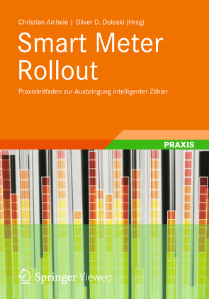 Smart Meter Rollout von Aichele,  Christian, Arzberger,  Michael, Dieper,  Stephan, Dirnberger,  Johann, Doleski,  Oliver, Dornseifer,  Hanno, Fey,  Bernhard, Frank,  Richard, Hoppe,  Carsten, Janner,  Till, Kaiser,  Thomas, Lauterborn,  Axel, Liebezeit,  Marc, Liotta,  Giovanni, Lohnert,  Klaus, Paetsch,  Michael, Raquet,  Christoph, Wagner,  Janosch, Zösch,  Norbert