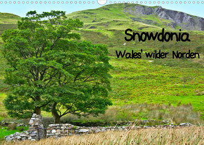 Snowdonia – Wales‘ wilder Norden (Wandkalender 2023 DIN A3 quer) von Plastron Pictures,  Lost