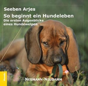 So beginnt ein Hundeleben von Arjes,  Seeben