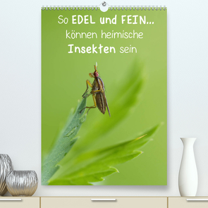 So EDEL und FEIN… können heimische Insekten sein (Premium, hochwertiger DIN A2 Wandkalender 2022, Kunstdruck in Hochglanz) von Berger (Kabefa),  Karin