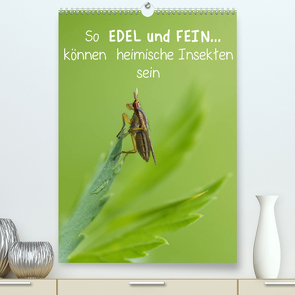 So EDEL und FEIN… können heimische Insekten sein (Premium, hochwertiger DIN A2 Wandkalender 2022, Kunstdruck in Hochglanz) von Berger (Kabefa),  Karin