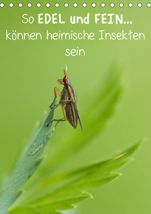 So EDEL und FEIN… können heimische Insekten sein (Tischkalender 2021 DIN A5 hoch) von Berger (Kabefa),  Karin