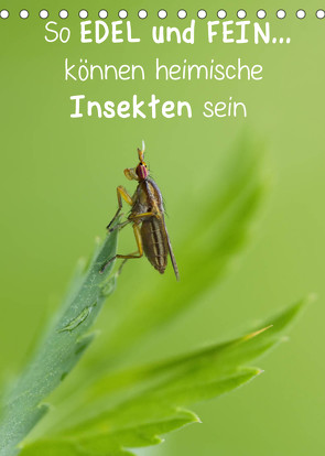 So EDEL und FEIN… können heimische Insekten sein (Tischkalender 2022 DIN A5 hoch) von Berger (Kabefa),  Karin