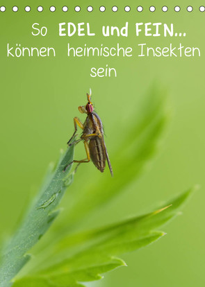 So EDEL und FEIN… können heimische Insekten sein (Tischkalender 2022 DIN A5 hoch) von Berger (Kabefa),  Karin