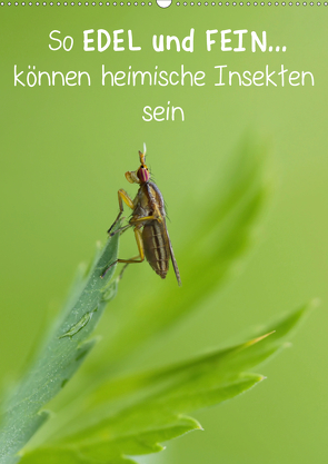 So EDEL und FEIN… können heimische Insekten sein (Wandkalender 2021 DIN A2 hoch) von Berger (Kabefa),  Karin