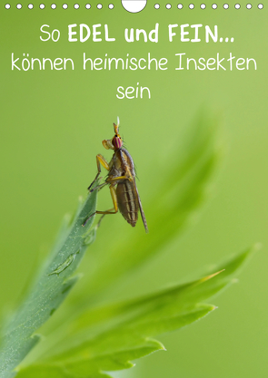 So EDEL und FEIN… können heimische Insekten sein (Wandkalender 2021 DIN A4 hoch) von Berger (Kabefa),  Karin