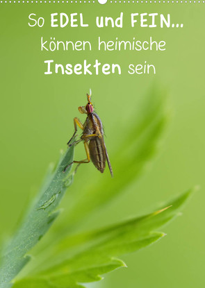 So EDEL und FEIN… können heimische Insekten sein (Wandkalender 2022 DIN A2 hoch) von Berger (Kabefa),  Karin