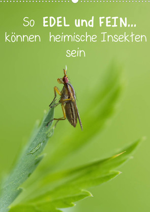 So EDEL und FEIN… können heimische Insekten sein (Wandkalender 2022 DIN A2 hoch) von Berger (Kabefa),  Karin