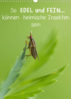 So EDEL und FEIN… können heimische Insekten sein (Wandkalender 2022 DIN A3 hoch) von Berger (Kabefa),  Karin