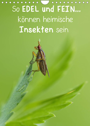 So EDEL und FEIN… können heimische Insekten sein (Wandkalender 2022 DIN A4 hoch) von Berger (Kabefa),  Karin