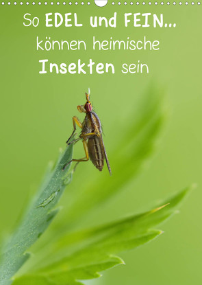 So EDEL und FEIN… können heimische Insekten sein (Wandkalender 2023 DIN A3 hoch) von Berger (Kabefa),  Karin